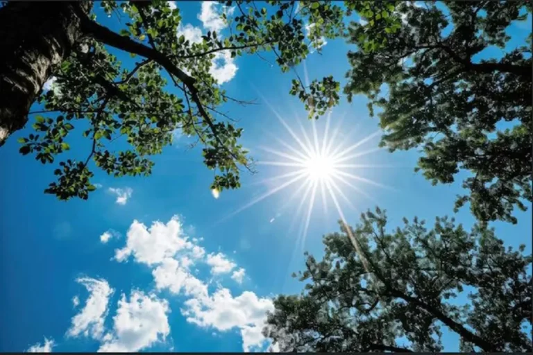 پایداری جو در بیشتر مناطق کشور