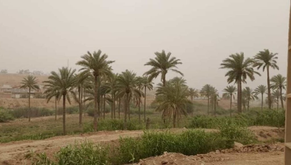 هشدار هواشناسی وقوع گرد و خاک در جنوب غرب خوزستان
