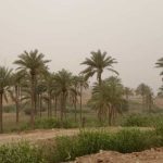 هشدار هواشناسی وقوع گرد و خاک در جنوب غرب خوزستان