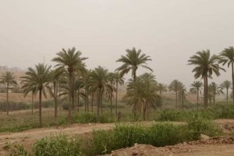 هشدار هواشناسی وقوع گرد و خاک در جنوب غرب خوزستان