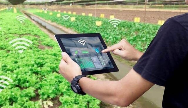 ۹۸ درصد کشاورزان موفق و نمونه خراسان رضوی از نسل جوانند