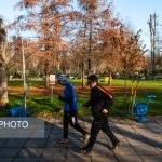ورزش؛ نسخه‌ای طبیعی برای بازسازی سلامت روان