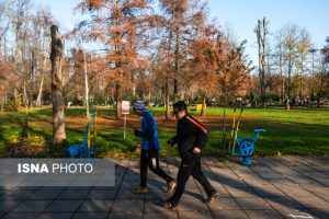 ورزش؛ نسخه‌ای طبیعی برای بازسازی سلامت روان