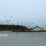 «کاسپین» در خطر است