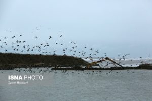 «کاسپین» در خطر است