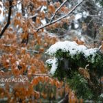 رحمان نیا هشدار سطح نارنجی هواشناسی در استان زنجان صادر شد