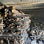 کشف و انهدام باندهای قاچاق چوب در نکا و بابل