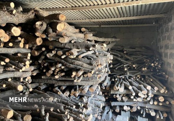 کشف و انهدام باندهای قاچاق چوب در نکا و بابل