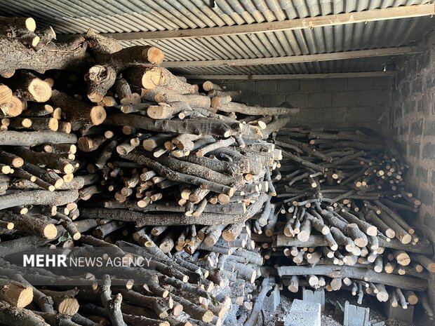 کشف و انهدام باندهای قاچاق چوب در نکا و بابل