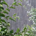 پیش‌بینی باران در ارتفاعات البرز و جنوب شرق