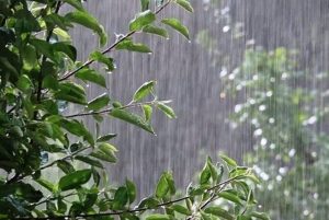 پیش‌بینی باران در ارتفاعات البرز و جنوب شرق