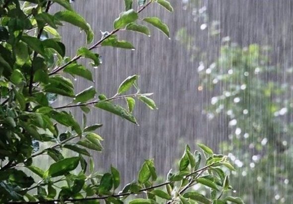 پیش‌بینی باران در ارتفاعات البرز و جنوب شرق