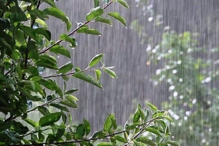 پیش‌بینی باران در ارتفاعات البرز و جنوب شرق